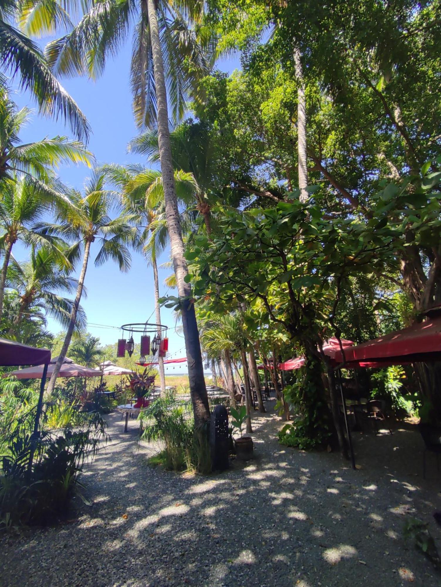 Laguna Del Cocodrilo Hotel 3*