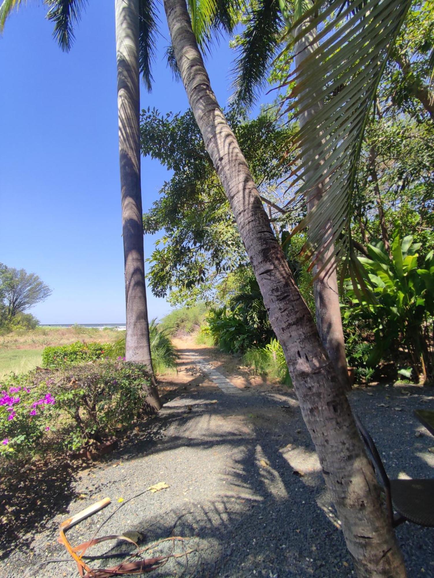 Laguna Del Cocodrilo 3* Tamarindo