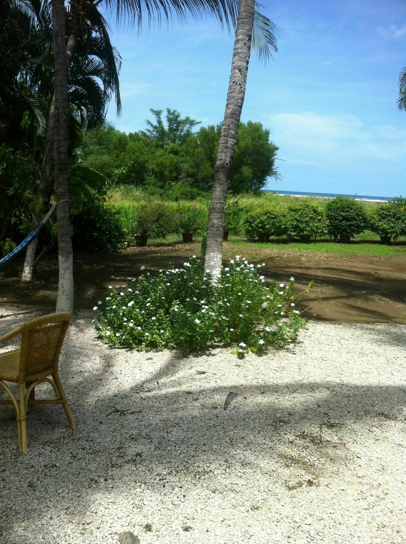 Laguna Del Cocodrilo 3*