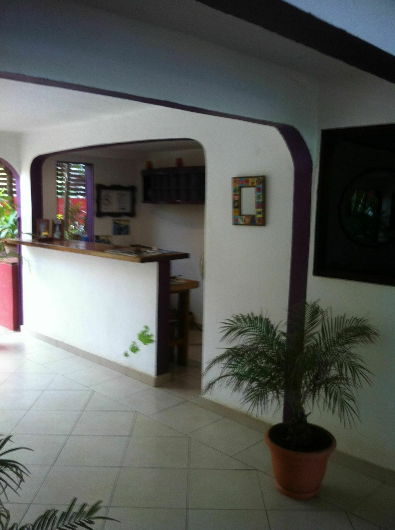 Laguna Del Cocodrilo Tamarindo